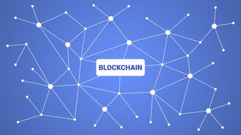 京东白条付款码提现攻略，轻松变现，你了解吗？