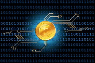 分期乐套揭秘，从获取到使用全过程解析