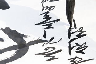 趣书写硬笔书法品牌，让书法艺术走进生活，轻松学书法