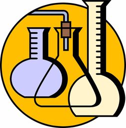 关于坚果品牌名字的创意与案例分析
