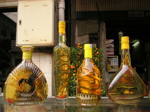 中国的白酒品牌大全