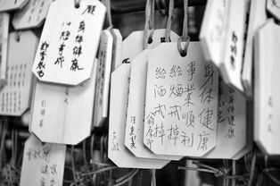 分期乐600元能否套现？详细分析与案例解读