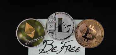 掌握白条提现技巧，让你轻松实现资金自由