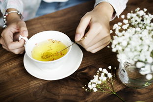 适合东北生长的茶叶品牌推荐