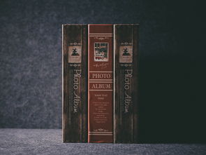各大白酒品牌商标解析与案例分析
