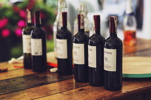 各大白酒品牌代表酒及其案例分析